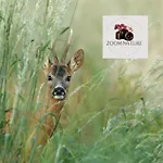 Maison De Campagne, Animaux Sur Demande - 4 Pers. - Fr-1-497-258 Prázdninový dům