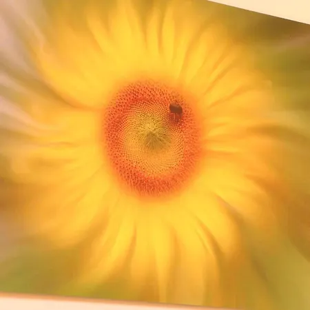 Maison De Campagne, Animaux Sur Demande - 4 Pers. - Fr-1-497-258 * דומפרונט