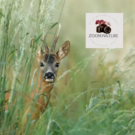 Maison De Campagne, Animaux Sur Demande - 4 Pers. - Fr-1-497-258 Dom wakacyjny