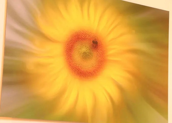 Maison De Campagne, Animaux Sur Demande - 4 Pers. - Fr-1-497-258 * דומפרונט