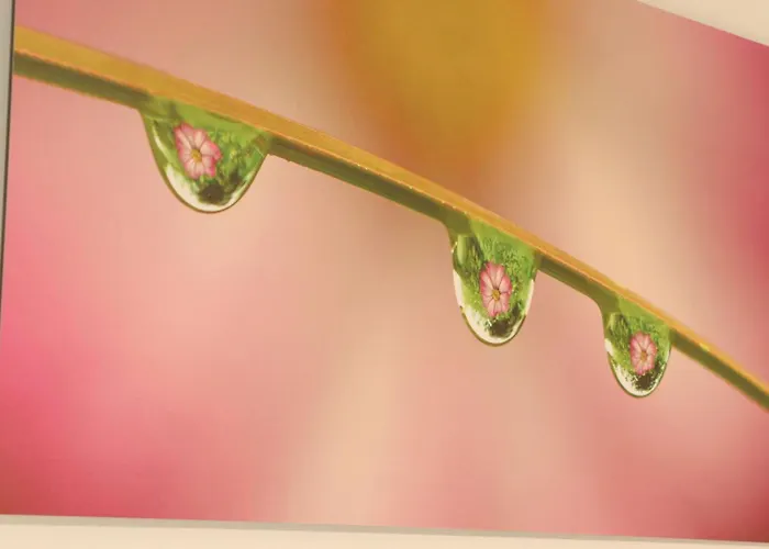 Maison Accueillante Nature - Pers. - Fr-1-497-258 Holiday home