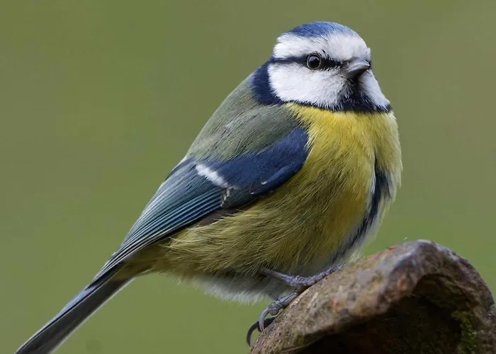 Maison De Campagne, Animaux Sur Demande - 4 Pers. - Fr-1-497-258 דומפרונט